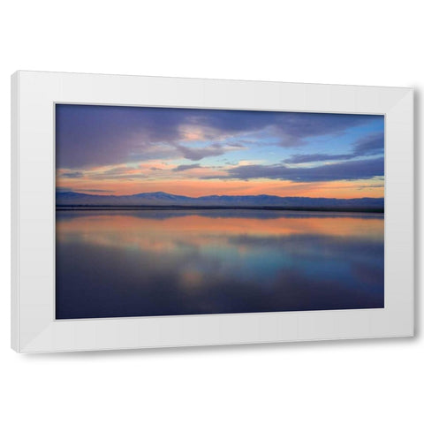 Watercolor II White Modern Wood Framed Art Print by Geistweite, Mark