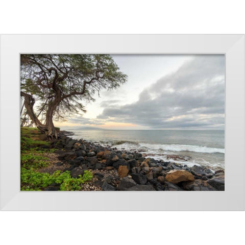Kihei Sunrise White Modern Wood Framed Art Print by Hellmann, Stan
