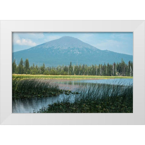 Bachelor in Summer White Modern Wood Framed Art Print by Hellmann, Stan