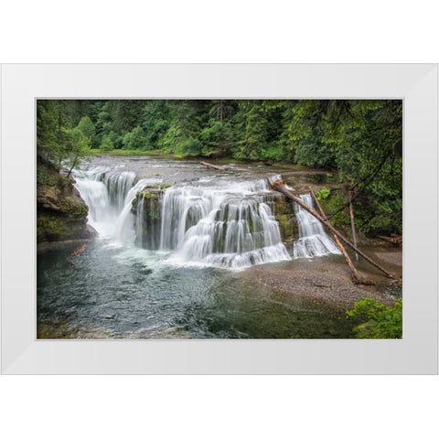 Lower Lewis River Falls White Modern Wood Framed Art Print by Hellmann, Stan