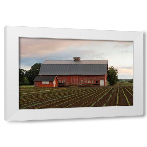 Mt. Angel Barn White Modern Wood Framed Art Print by Hellmann, Stan