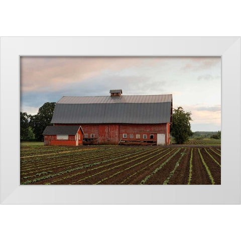 Mt. Angel Barn White Modern Wood Framed Art Print by Hellmann, Stan