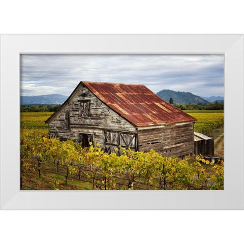 Sonoma Barn White Modern Wood Framed Art Print by Hellmann, Stan