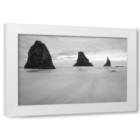 Bandon BW White Modern Wood Framed Art Print by Hellmann, Stan
