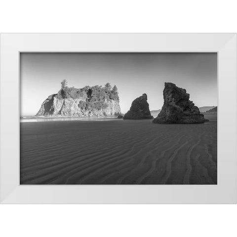 Ruby Beach Morning II BW White Modern Wood Framed Art Print by Hellmann, Stan