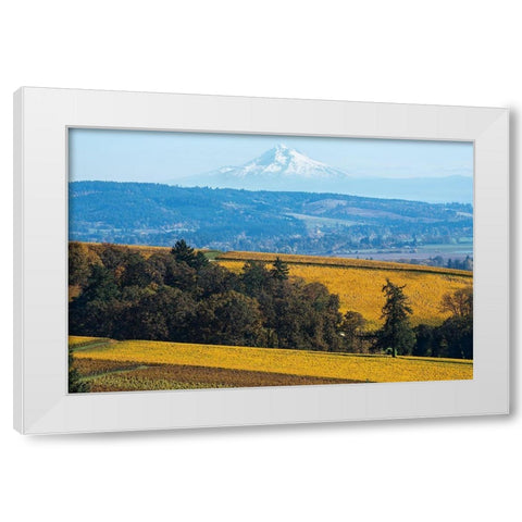Dundee Hills I White Modern Wood Framed Art Print by Hellmann, Stan