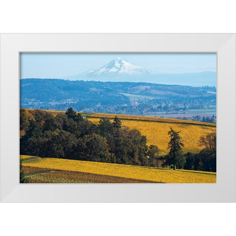 Dundee Hills I White Modern Wood Framed Art Print by Hellmann, Stan
