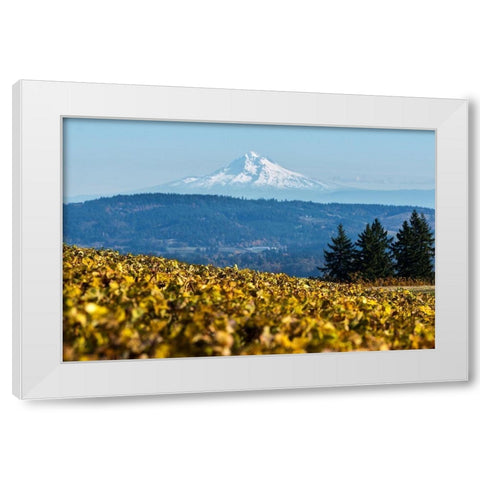 Dundee Hills II White Modern Wood Framed Art Print by Hellmann, Stan