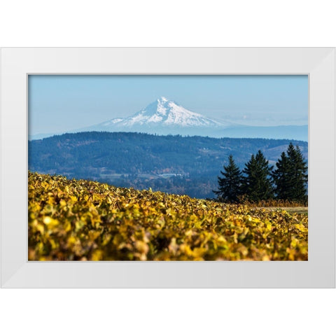 Dundee Hills II White Modern Wood Framed Art Print by Hellmann, Stan