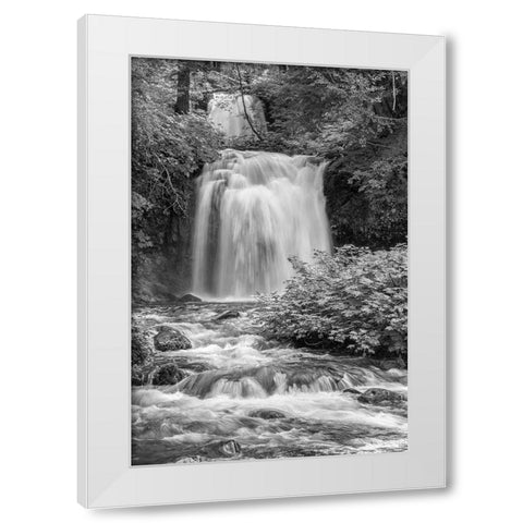 Twin Falls BW White Modern Wood Framed Art Print by Hellmann, Stan