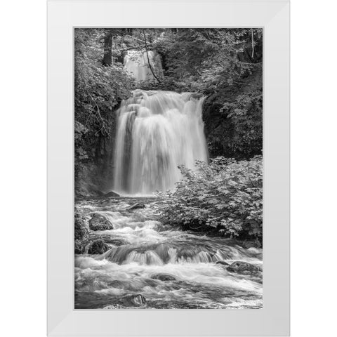 Twin Falls BW White Modern Wood Framed Art Print by Hellmann, Stan