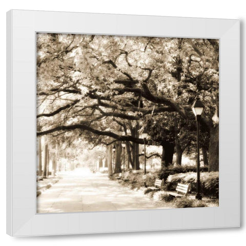 Savannah Sepia Sq I White Modern Wood Framed Art Print by Hausenflock, Alan