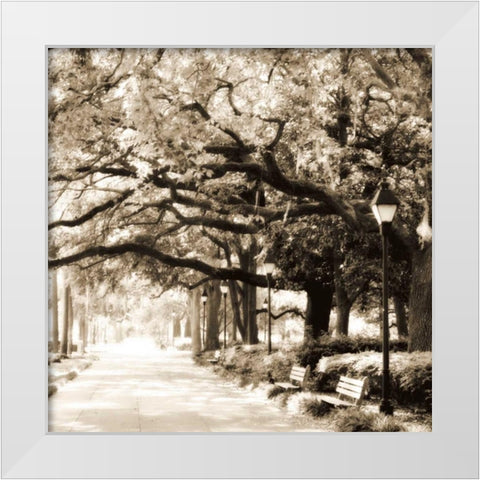 Savannah Sepia Sq I White Modern Wood Framed Art Print by Hausenflock, Alan