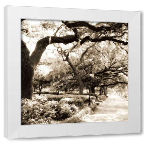 Savannah Sepia Sq II White Modern Wood Framed Art Print by Hausenflock, Alan