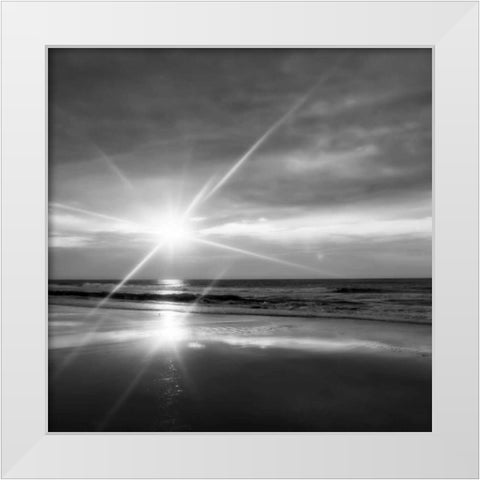 Beauteous Light III White Modern Wood Framed Art Print by Hausenflock, Alan