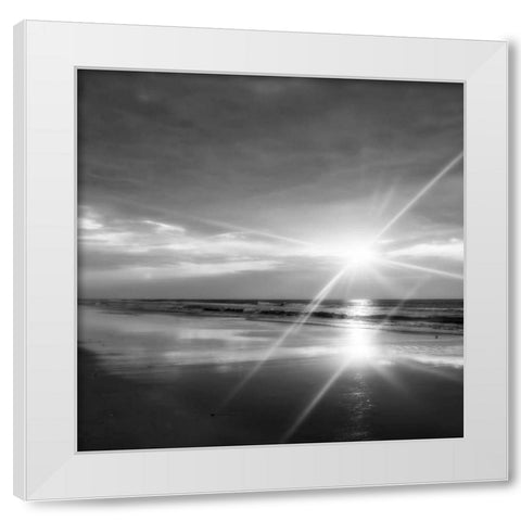 Beauteous Light IV White Modern Wood Framed Art Print by Hausenflock, Alan