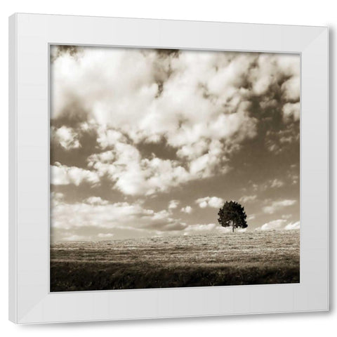Cloudy Skies Sq I White Modern Wood Framed Art Print by Hausenflock, Alan