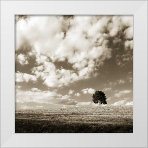 Cloudy Skies Sq I White Modern Wood Framed Art Print by Hausenflock, Alan