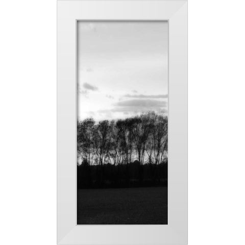 Winter Sunset BW IV White Modern Wood Framed Art Print by Hausenflock, Alan