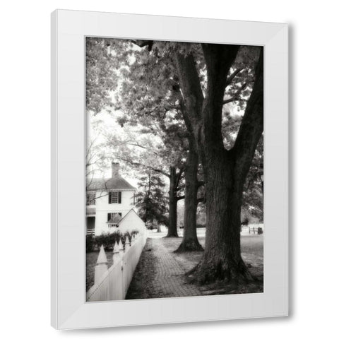 Small Town Autumn IV White Modern Wood Framed Art Print by Hausenflock, Alan