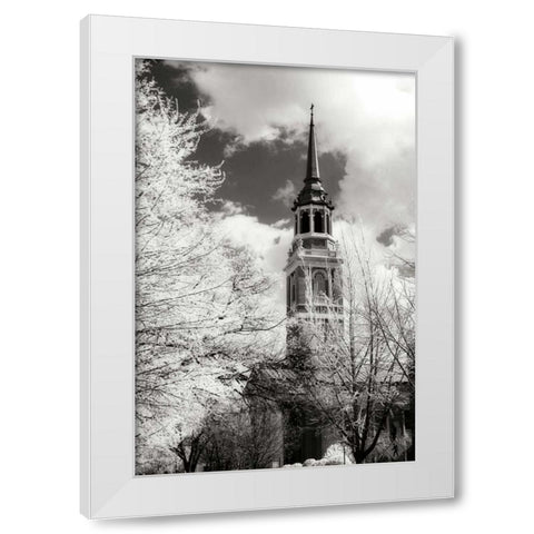 Renewal I White Modern Wood Framed Art Print by Hausenflock, Alan