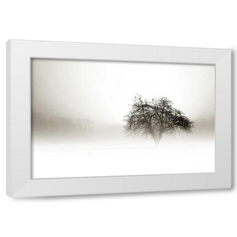 In the Mist I White Modern Wood Framed Art Print by Hausenflock, Alan