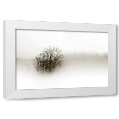 In the Mist II White Modern Wood Framed Art Print by Hausenflock, Alan