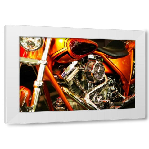Wild Ride II White Modern Wood Framed Art Print by Hausenflock, Alan