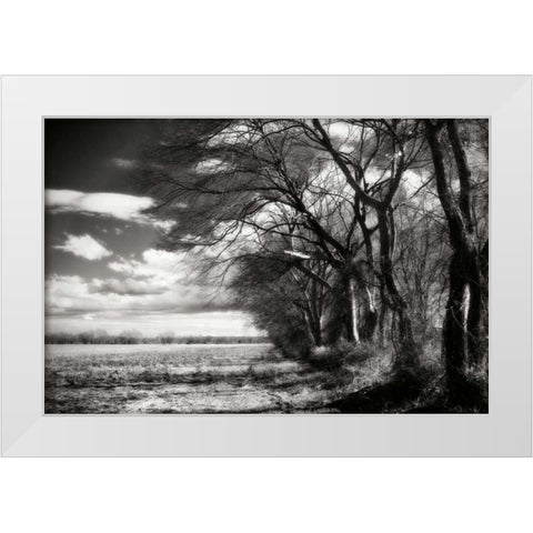 Winter Fields II White Modern Wood Framed Art Print by Hausenflock, Alan