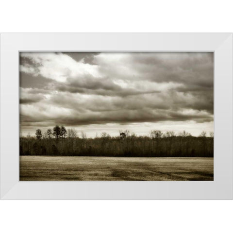 Winter Fields III White Modern Wood Framed Art Print by Hausenflock, Alan