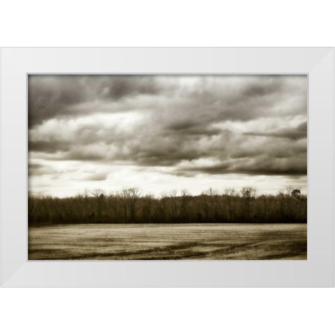 Winter Fields IV White Modern Wood Framed Art Print by Hausenflock, Alan
