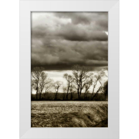 Winter Fields V White Modern Wood Framed Art Print by Hausenflock, Alan
