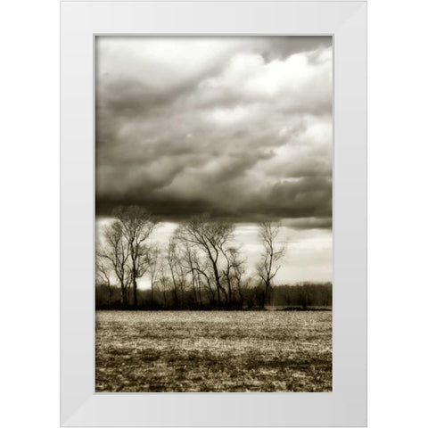 Winter Fields VI White Modern Wood Framed Art Print by Hausenflock, Alan