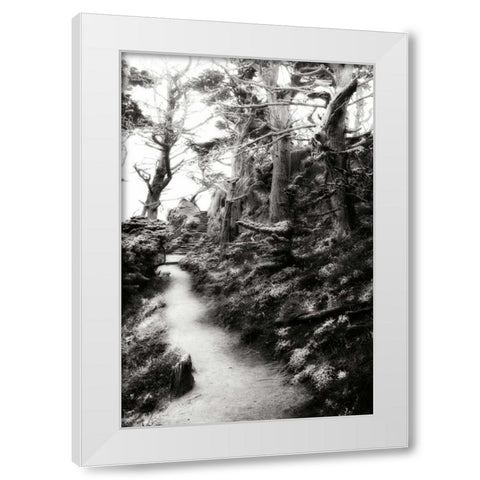 North Point Pathway I White Modern Wood Framed Art Print by Hausenflock, Alan