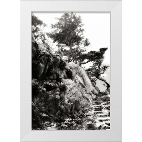 North Point Pathway II White Modern Wood Framed Art Print by Hausenflock, Alan