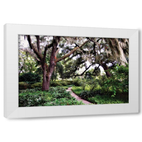 Sultry Garden I White Modern Wood Framed Art Print by Hausenflock, Alan