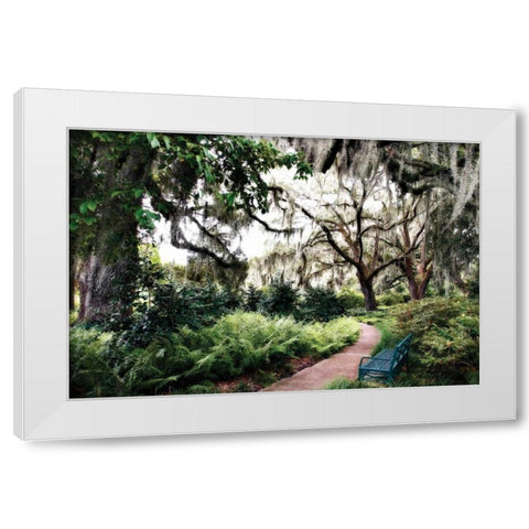 Sultry Garden II White Modern Wood Framed Art Print by Hausenflock, Alan