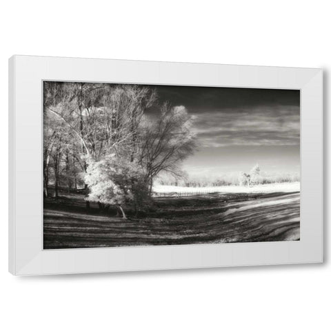 Dry Creek I White Modern Wood Framed Art Print by Hausenflock, Alan