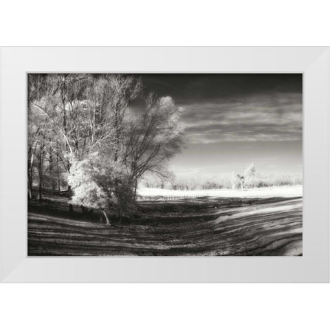 Dry Creek I White Modern Wood Framed Art Print by Hausenflock, Alan