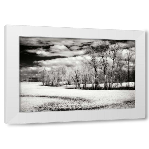 Hanover Winter I White Modern Wood Framed Art Print by Hausenflock, Alan