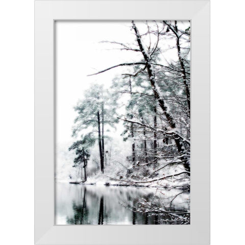 Shelly Lake in Winter I White Modern Wood Framed Art Print by Hausenflock, Alan