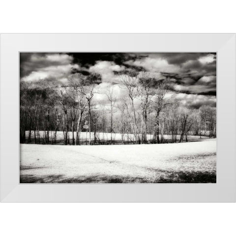 Hanover Winter II White Modern Wood Framed Art Print by Hausenflock, Alan