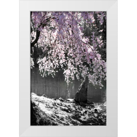Cherry Tree II White Modern Wood Framed Art Print by Hausenflock, Alan