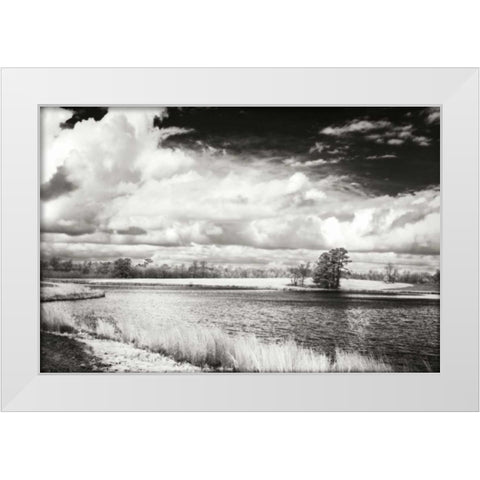 Shearon Lake I White Modern Wood Framed Art Print by Hausenflock, Alan