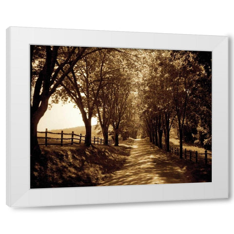 Ash Lawn I White Modern Wood Framed Art Print by Hausenflock, Alan