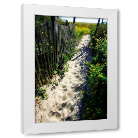 To the Beach I White Modern Wood Framed Art Print by Hausenflock, Alan
