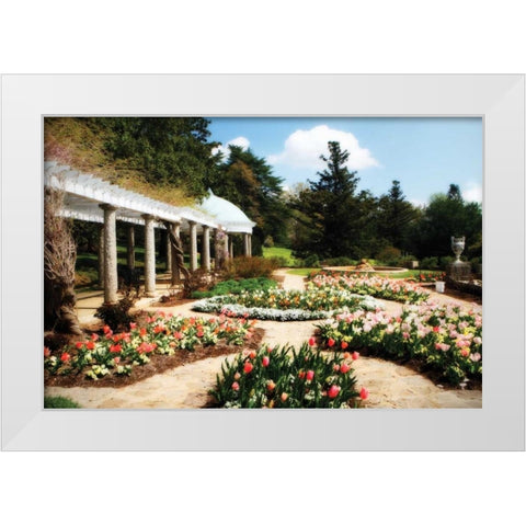 Spring Formality I White Modern Wood Framed Art Print by Hausenflock, Alan