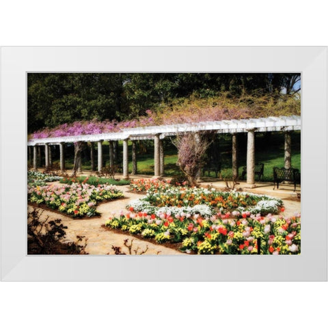 Spring Formality II White Modern Wood Framed Art Print by Hausenflock, Alan