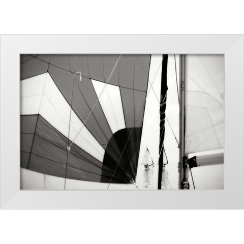 Downwind I White Modern Wood Framed Art Print by Hausenflock, Alan