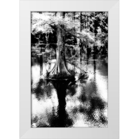 Trenton Cyprus II White Modern Wood Framed Art Print by Hausenflock, Alan